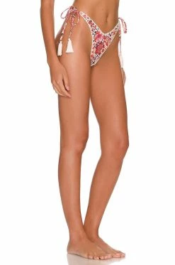 Fall 2022 Nayda Bottom