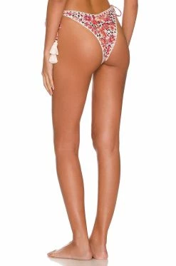 Fall 2022 Nayda Bottom